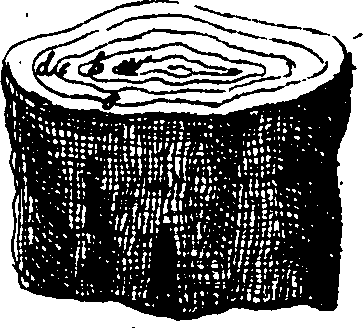 112/112000030000020_1.png