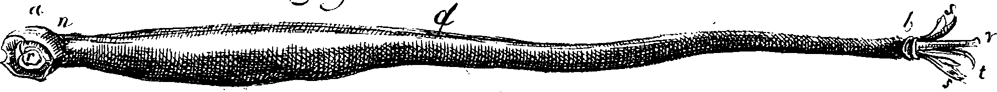 112/112000030000020_2.png