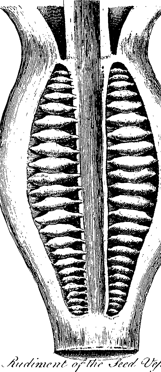 112/112000120000690_0.png