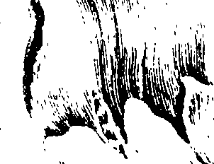 112/112000120001020_1.png