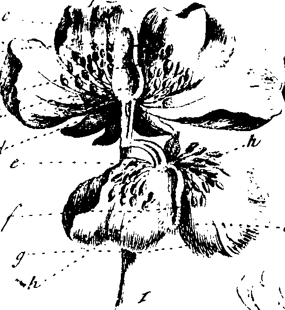112/112000120001300_1.png