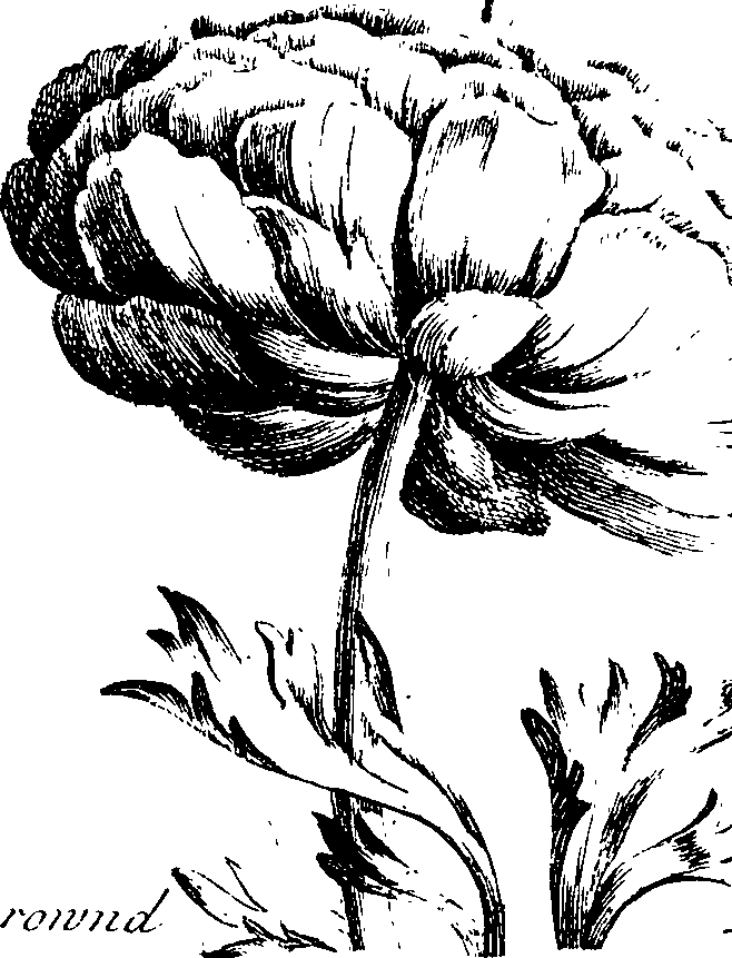 112/112000120001350_0.png