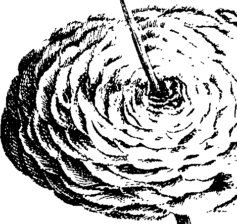 112/112000120001350_1.png