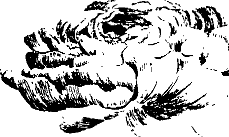 112/112000120001350_2.png