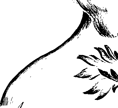 112/112000120001400_0.png