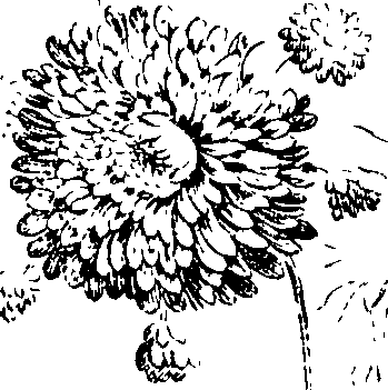 112/112000120001600_0.png