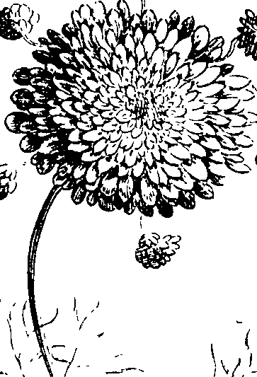 112/112000120001600_1.png