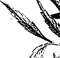 112/112000120002070_0.png