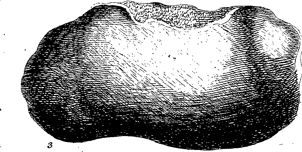 112/112000120002430_0.png