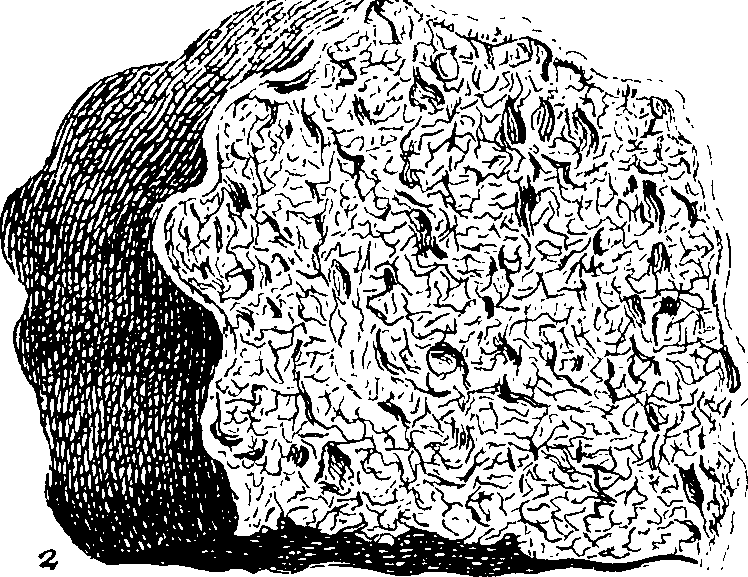 112/112000120002430_1.png