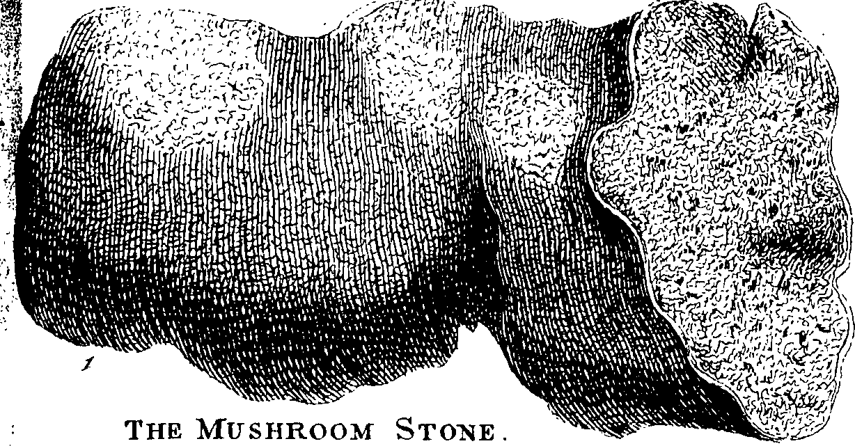 112/112000120002430_2.png
