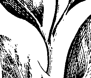 112/112000120002800_0.png