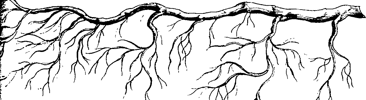 112/112000120003070_0.png