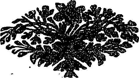 112/112040060000010_0.png