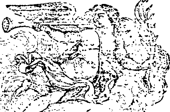 112/112090040000390_0.png
