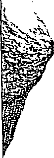 112/112120010000140_4.png