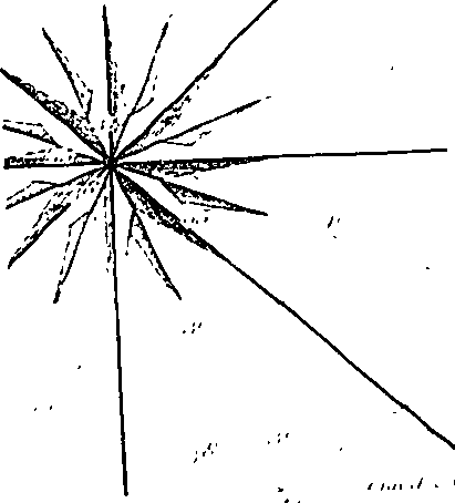 112/112120020000030_1.png
