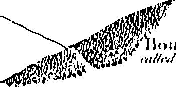112/112120020000100_1.png