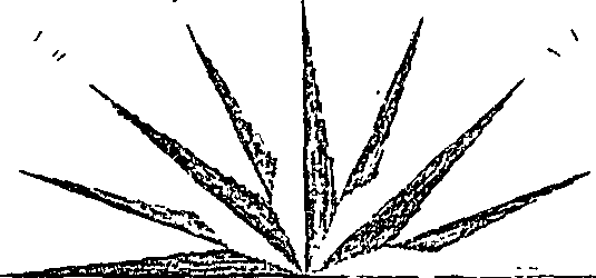 112/112120020000120_0.png