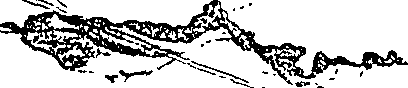 112/112120020000170_3.png