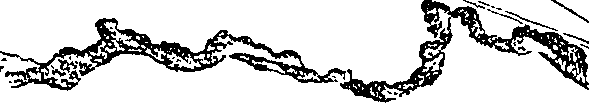 112/112120020000170_4.png