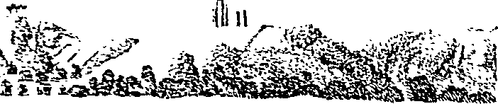 112/112120020000290_1.png