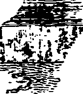 112/112170020000020_0.png