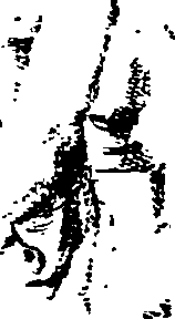 112/112170020000030_0.png