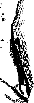 112/112170020000030_2.png