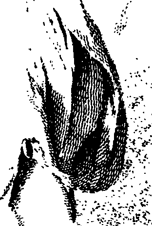 112/112170020000030_3.png