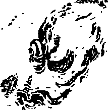 112/112170020000030_4.png