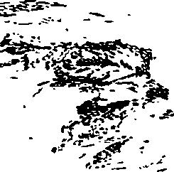 112/112170020000030_5.png