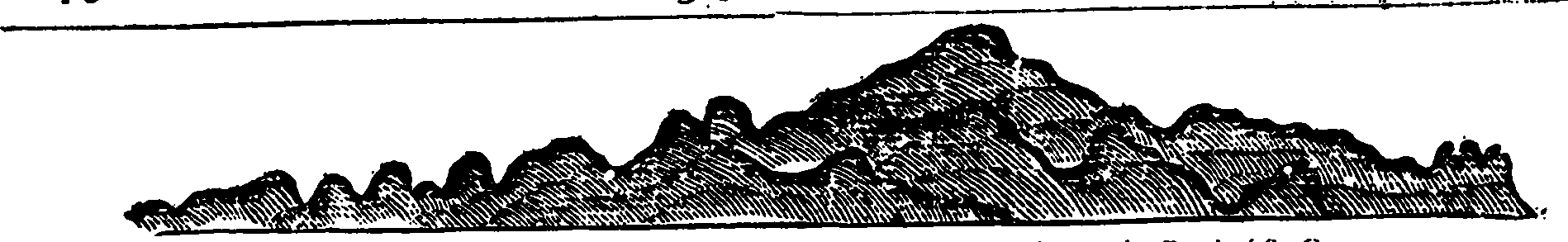 112/112170030000210_4.png