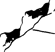 112/112170030000310_1.png
