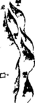 112/112170030000710_0.png