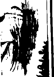 112/112180060000570_0.png