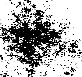 112/112210020000120_0.png
