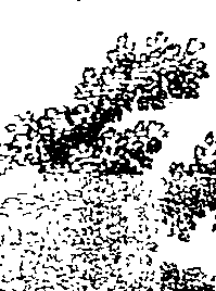 112/112240020300340_0.png