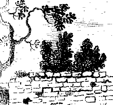 112/112240020301310_0.png