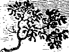 112/112240020301310_1.png