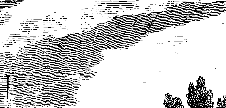 112/112240020301630_0.png