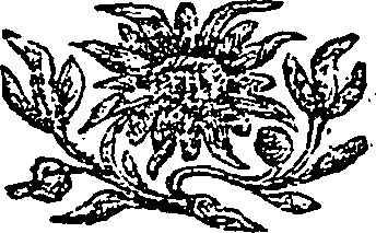 112/112250120000050_0.png