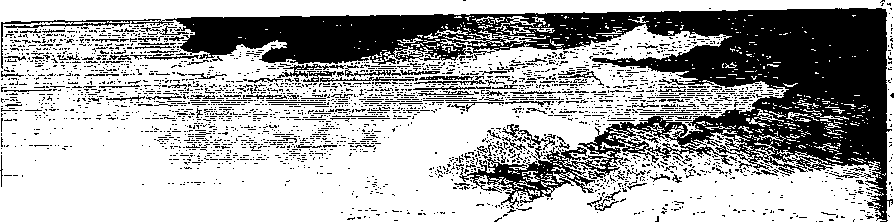 112/112310040500080_0.png