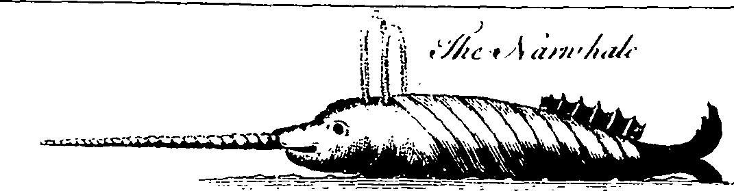 112/112320010801290_1.png