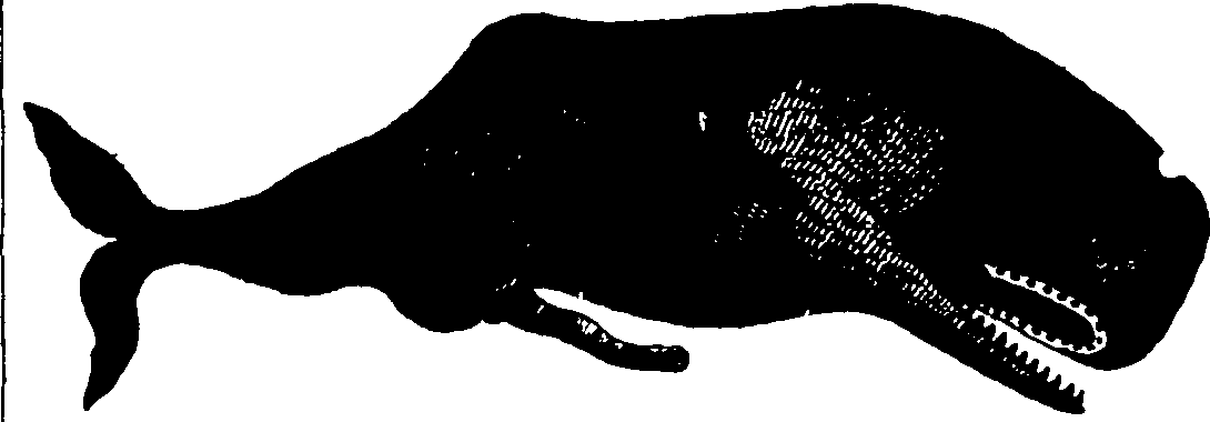 112/112320010801420_0.png