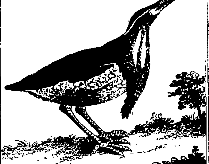 112/112320011300130_0.png