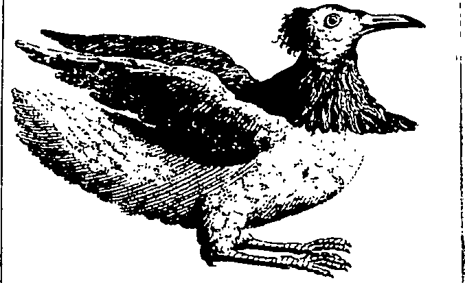 112/112320011300130_1.png