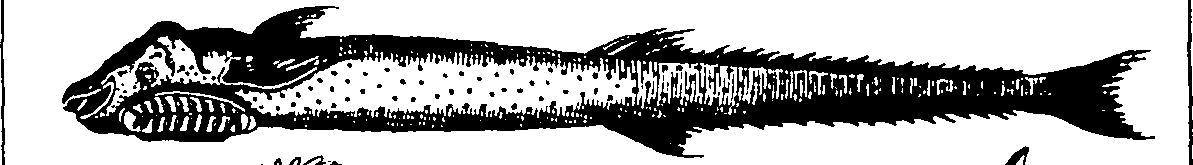 112/112320011302060_0.png
