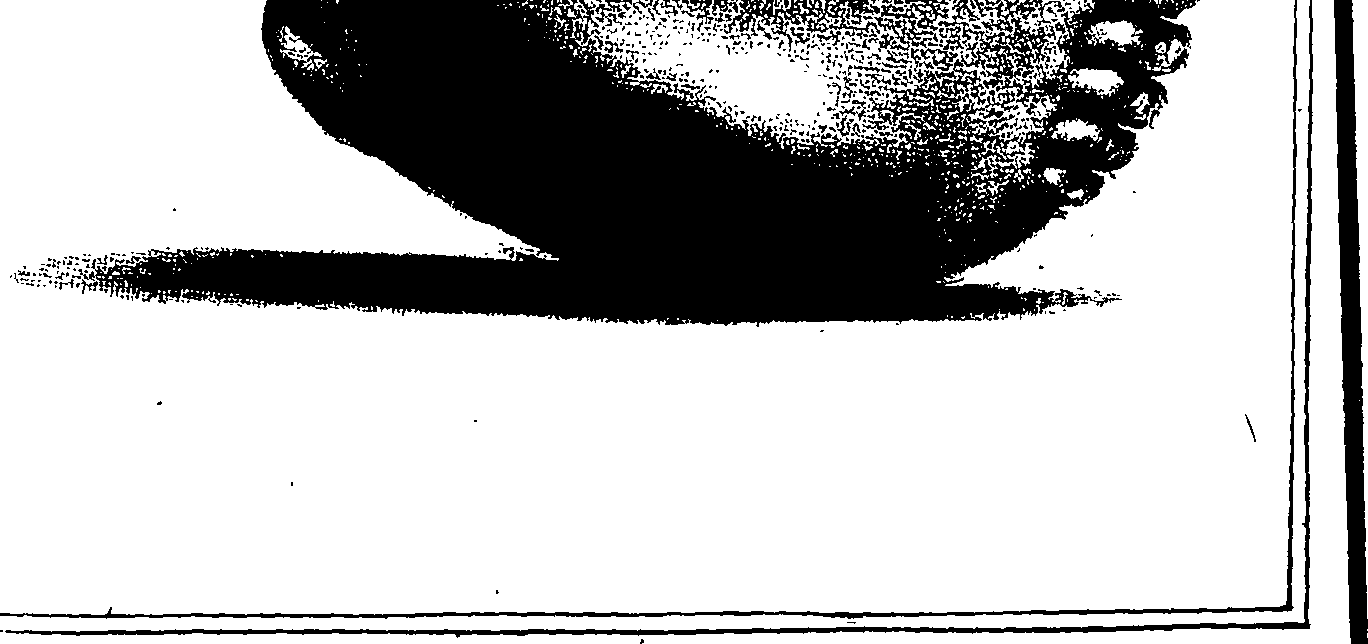 112/112350180000250_0.png