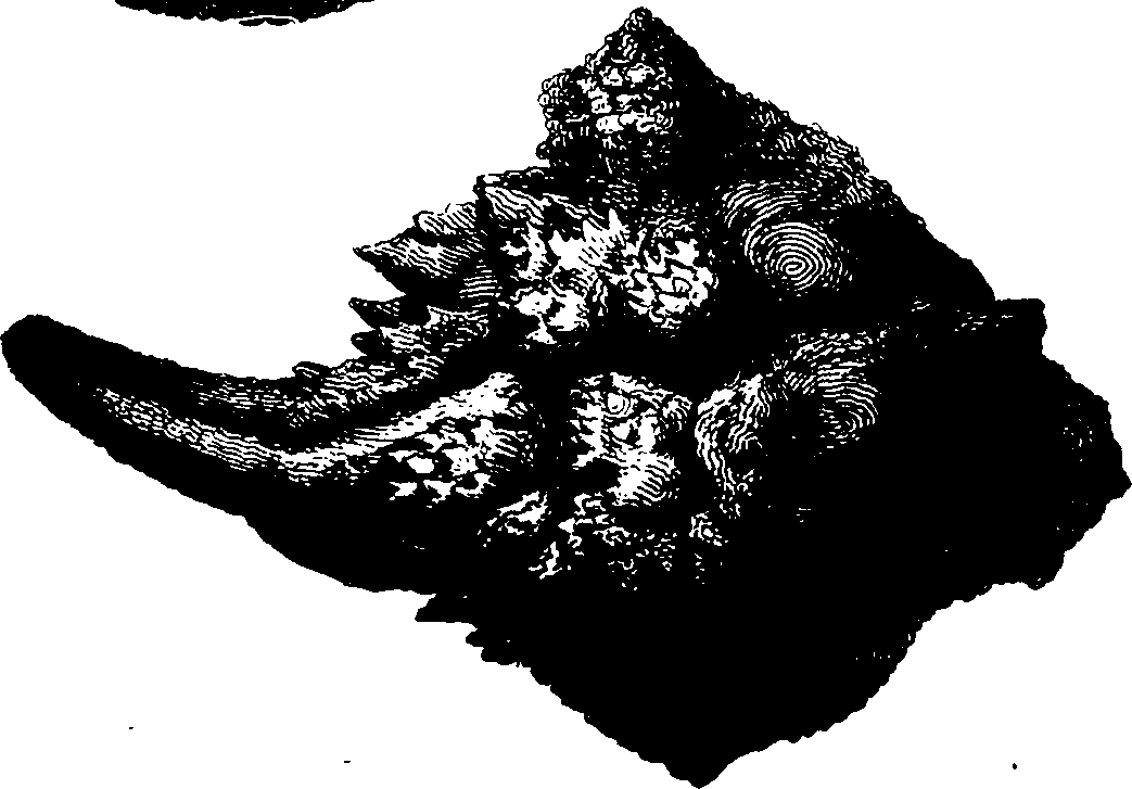 112/112350230000980_0.png